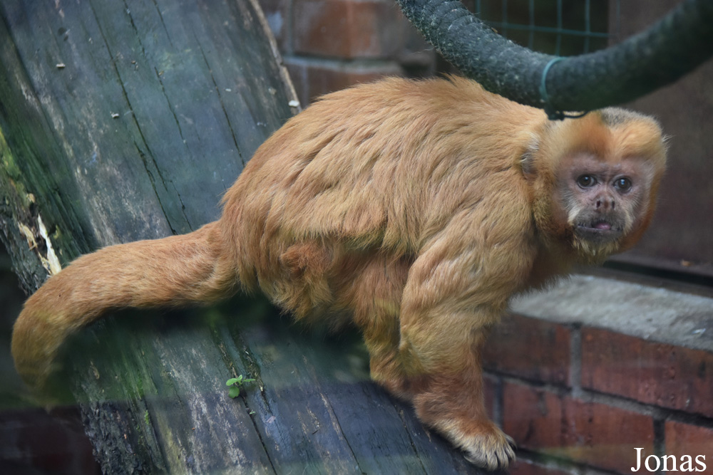 Lietuvos Zoologijos Sodas