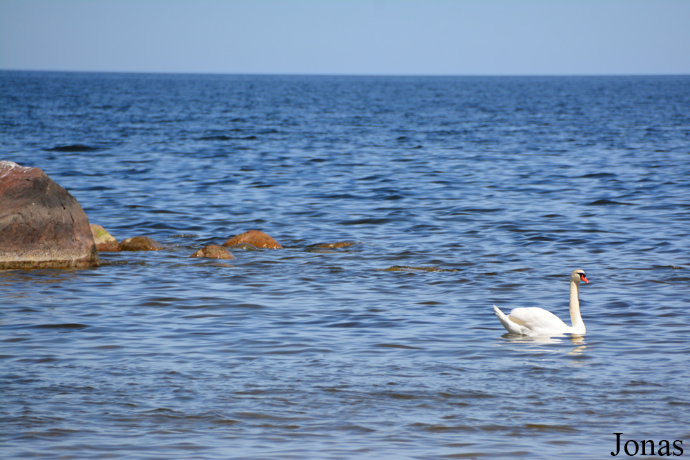 Lahemaa National Park