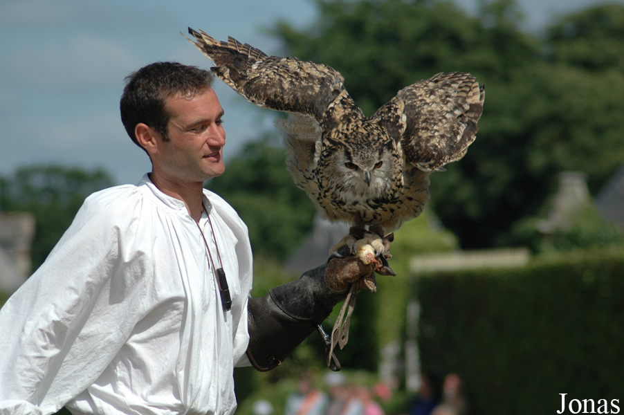 Bubo bubo bubo