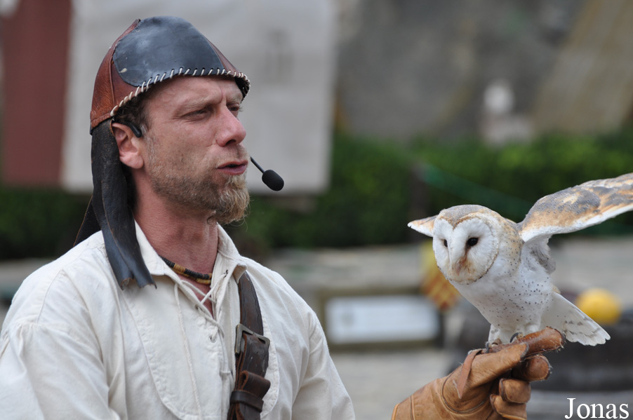Tyto alba