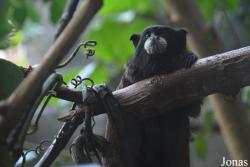 Moscow Zoo