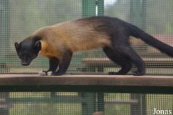 Moscow Zoo Centre for Rare Animals Reproduction (P)