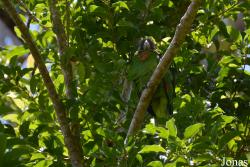 Syndicate Nature Trail