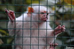 Tier- und Freizeitpark Thüle