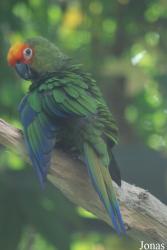 Parc Zoologique et Botanique de Mulhouse