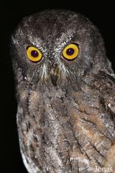 Parc National de Lokobe