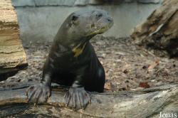 Zoo Duisburg
