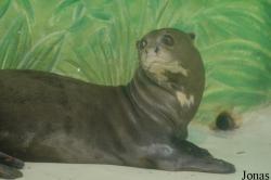 Tierpark Hagenbeck