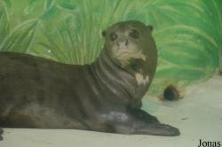 Tierpark Hagenbeck