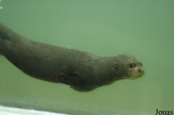 Tierpark Hagenbeck