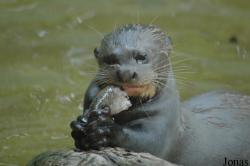 Tierpark Hagenbeck