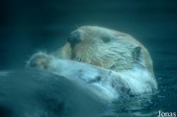 Zoo Antwerpen