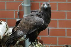 Tierpark Bochum