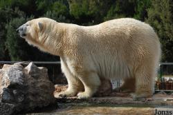 Zoosafari e Fasanolandia
