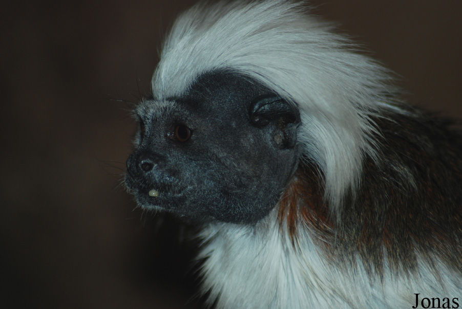 NaturZoo Rheine