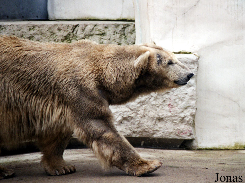 Zoologischer Garten Karlsruhe
