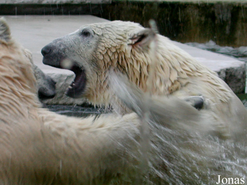 Zoologischer Garten Karlsruhe