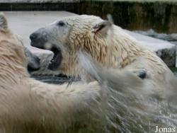 Zoologischer Garten Karlsruhe