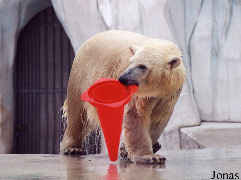 Zoologischer Garten Karlsruhe