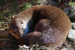 GaiaPark Kerkrade Zoo