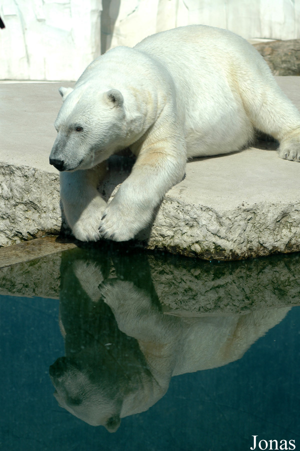 Zoologischer Garten Karlsruhe