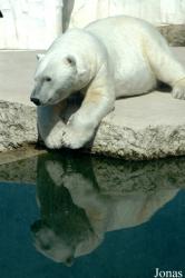 Zoologischer Garten Karlsruhe