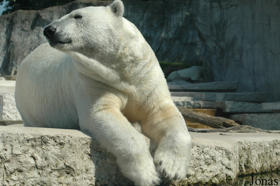 Zoologischer Garten Karlsruhe