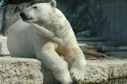 Zoologischer Garten Karlsruhe