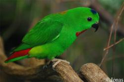 Zoo Basel