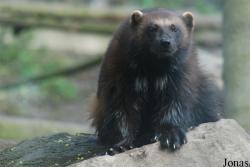 Zoologická zahrada Ústí nad Labem