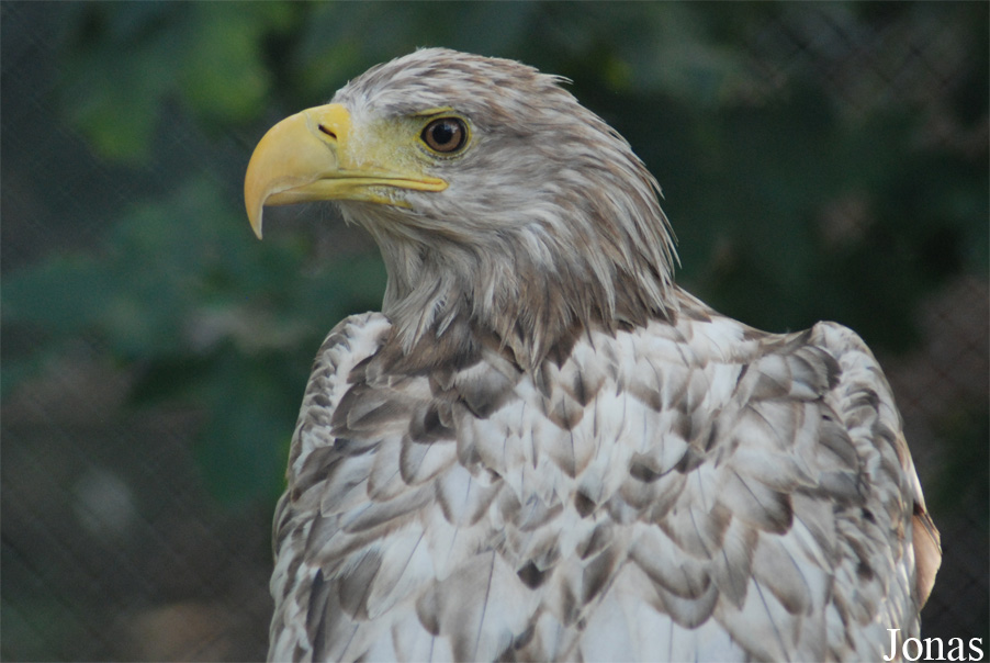 Ogród Fauny Polskiej Zoo