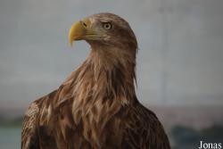 Miejski Ogród Zoologiczny w Warszawie