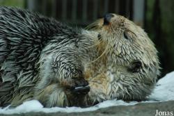 Zoo Antwerpen
