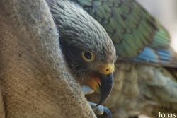 Allwetterzoo Münster
