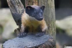 Allwetterzoo Münster