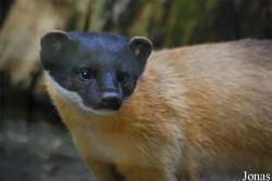 Allwetterzoo Münster