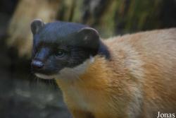 Allwetterzoo Münster