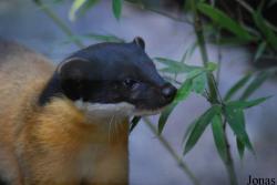 Allwetterzoo Münster