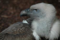 Vigo Zoo