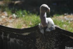 La Ferme aux Oiseaux