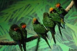 Beijing Zoological Gardens