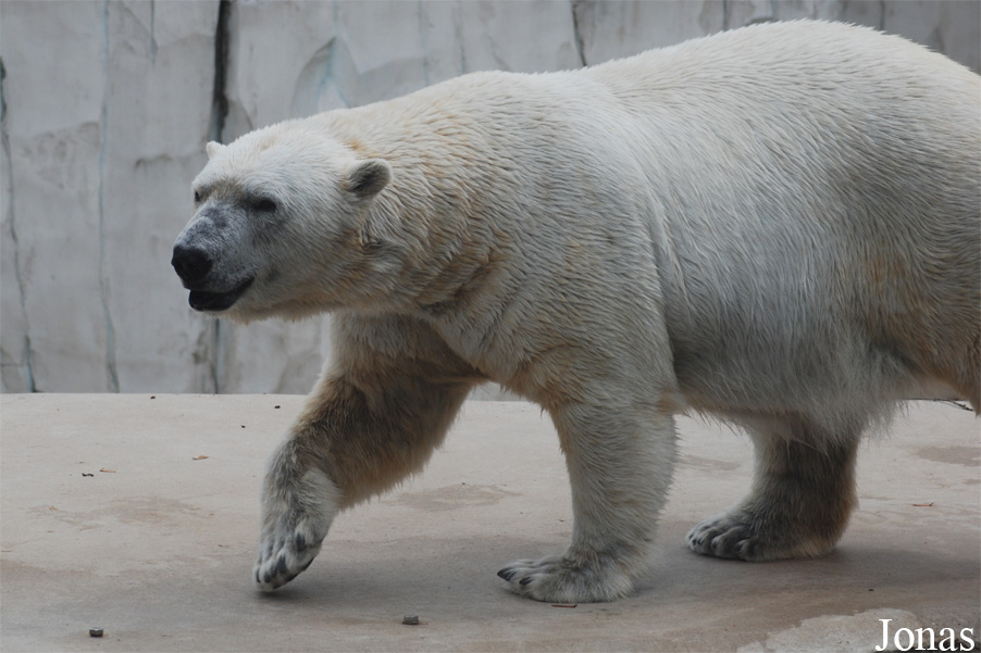 Zoologischer Garten Karlsruhe