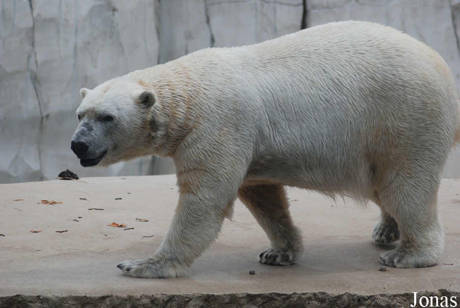 Zoologischer Garten Karlsruhe