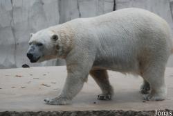 Zoologischer Garten Karlsruhe
