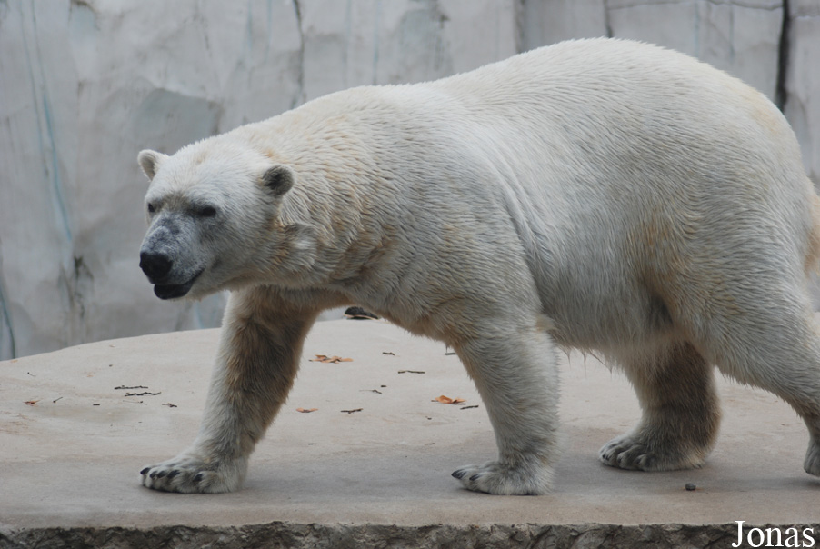 Zoologischer Garten Karlsruhe