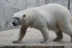 Zoologischer Garten Karlsruhe