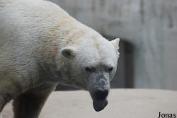 Zoologischer Garten Karlsruhe