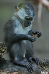 Zoologischer Garten Karlsruhe