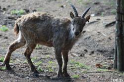 Zoo Olomouc