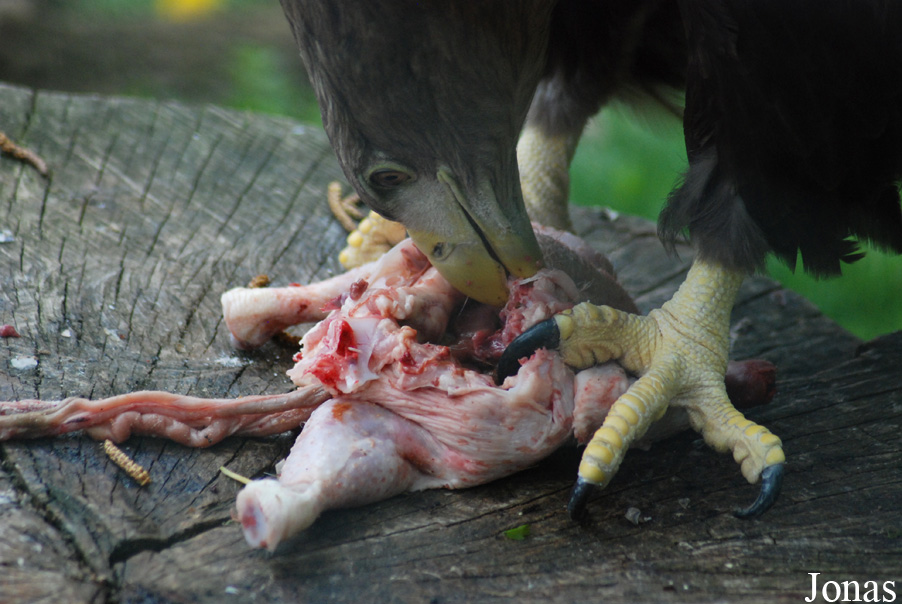 Zoo Jihlava